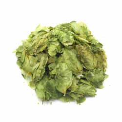 Citra Leaf Hops