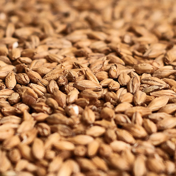 Patagonia Extra Pale Malt