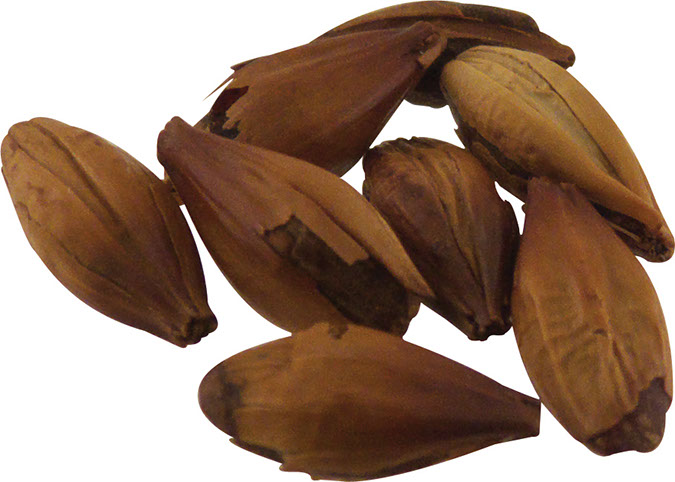 Weyermann?? CaraAroma Malt 55 lb Sack