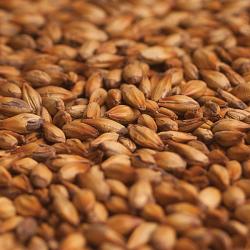 Patagonia Especial 140L Malt